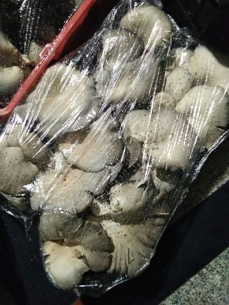 食用菌鲜货希望和经销商老板们合作