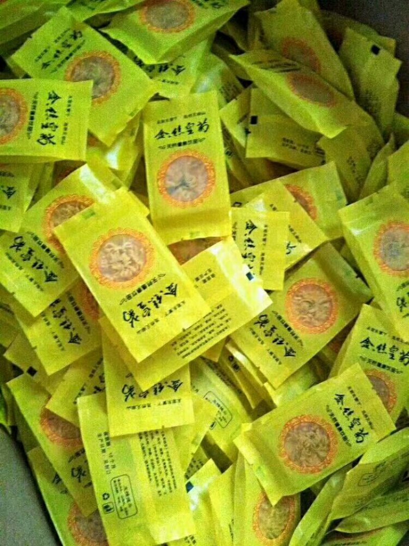 金丝皇菊