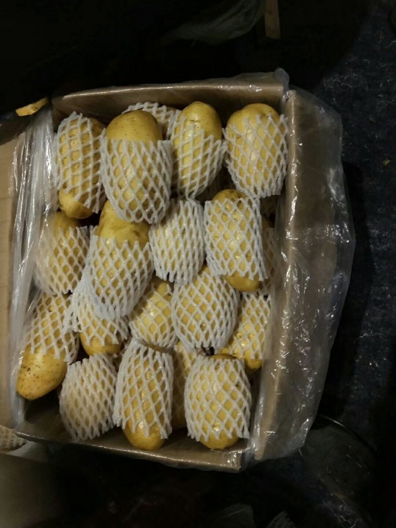 【推荐】山东土豆荷兰十五土豆冷库土豆大量供应规格齐全