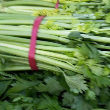 芹菜
