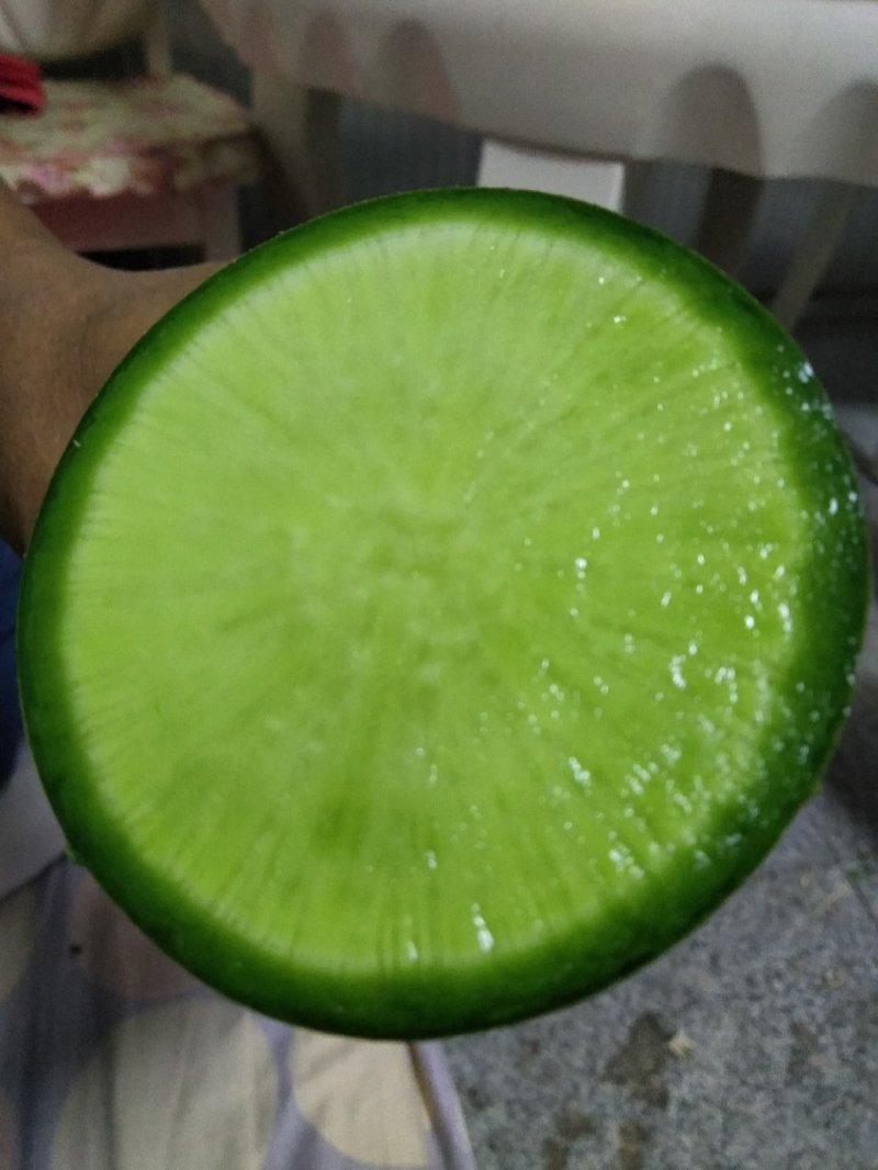 水果萝卜大量供应口感很好