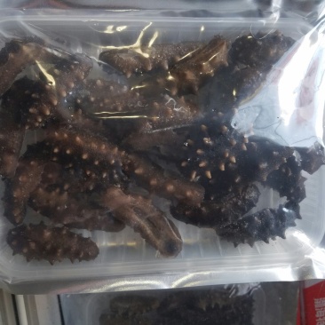 即时海参25头左右