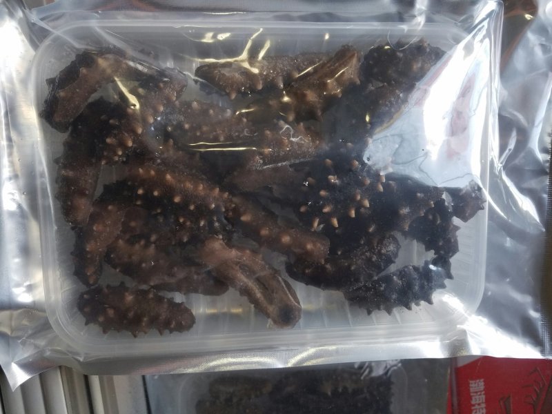 即时海参25头左右