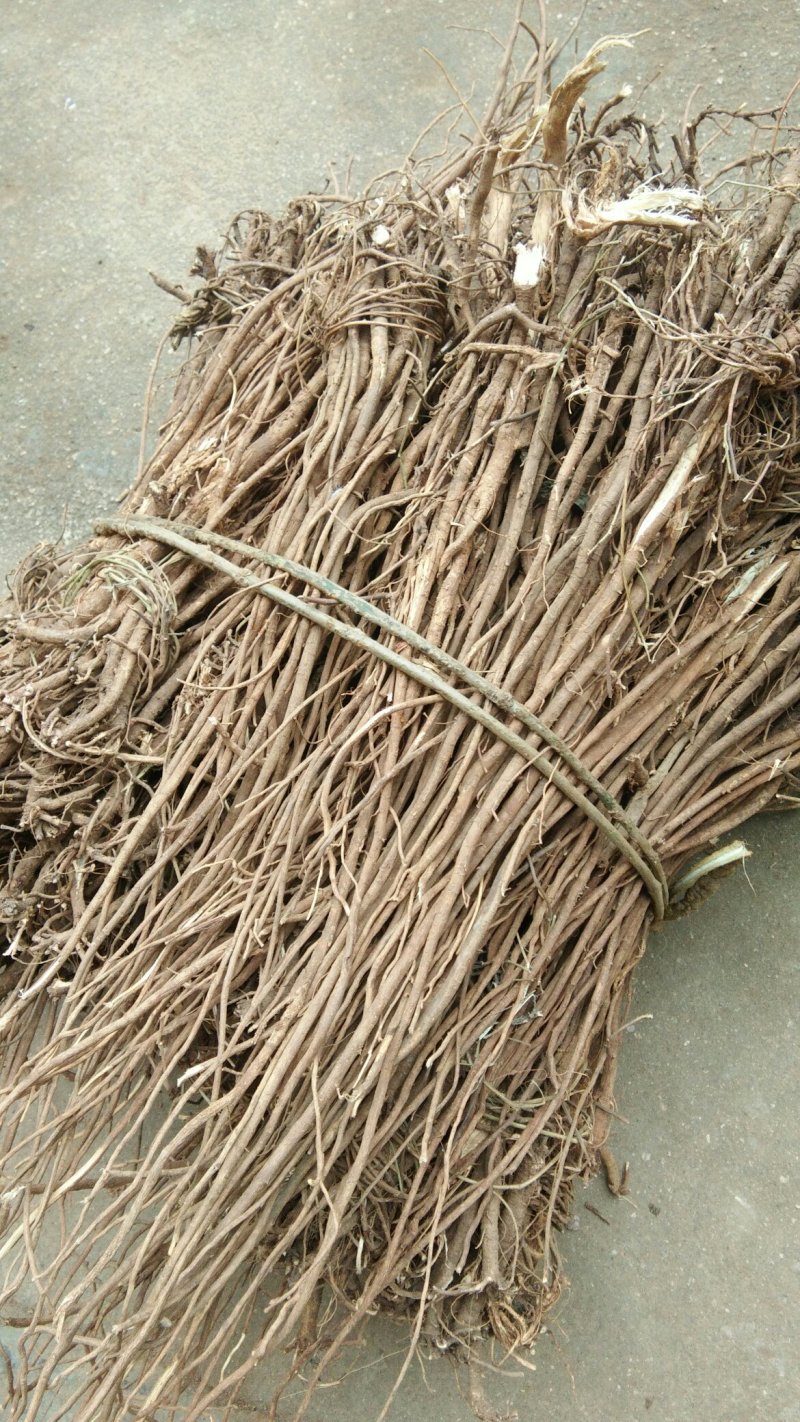 千斤拔/种植千斤拔/千斤拔干货/干货千斤拔/产地直发