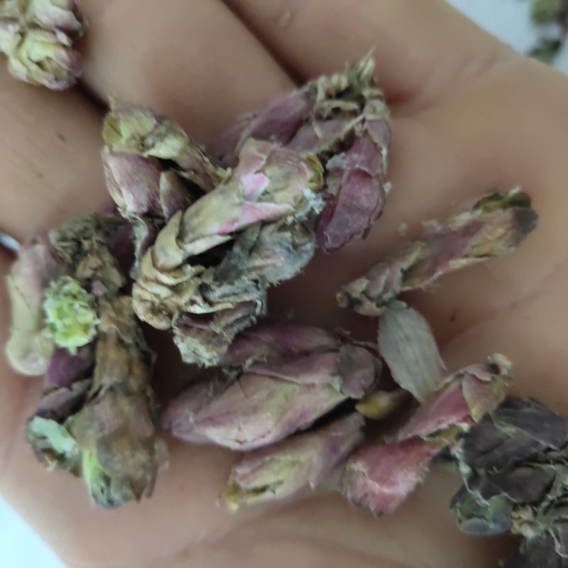 款冬花新货精选大花头颜色好1000g起批关书药业