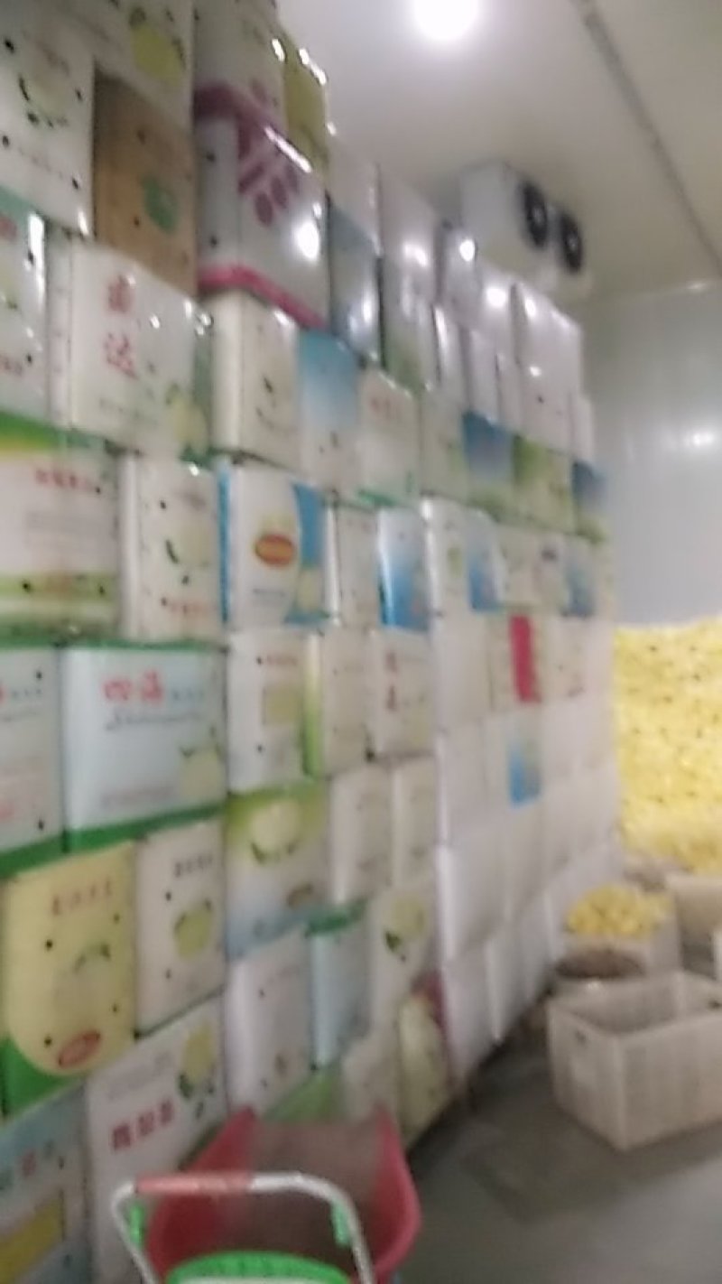 柠檬黄果，大中小可选一二级果