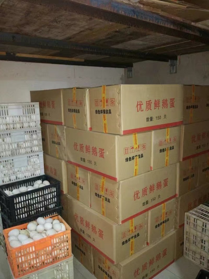 大量鹅蛋批发