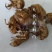 蝉蜕新货无杂质批发零售1000g起批关书药业