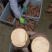 2022新鲜沂蒙蜜薯烟薯25一件代发量供应