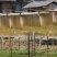 广西都安原生态手工土红薯粉