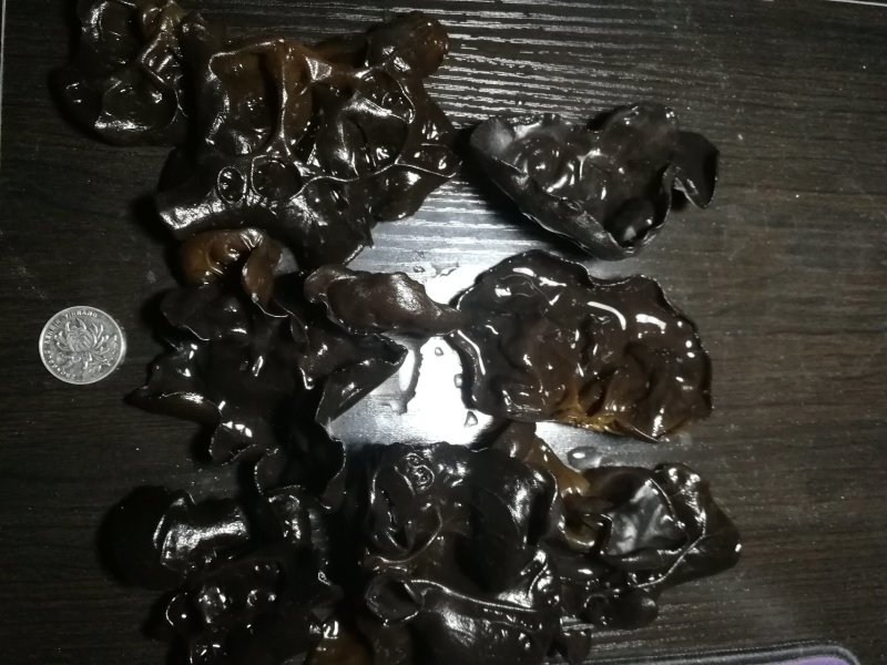 江南冬木耳大木耳冬季木耳2.5cm南方黑木耳