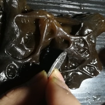 江南冬木耳大木耳冬季木耳2.5cm南方黑木耳
