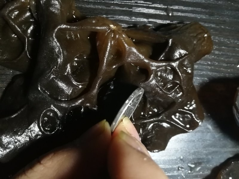 江南冬木耳大木耳冬季木耳2.5cm南方黑木耳