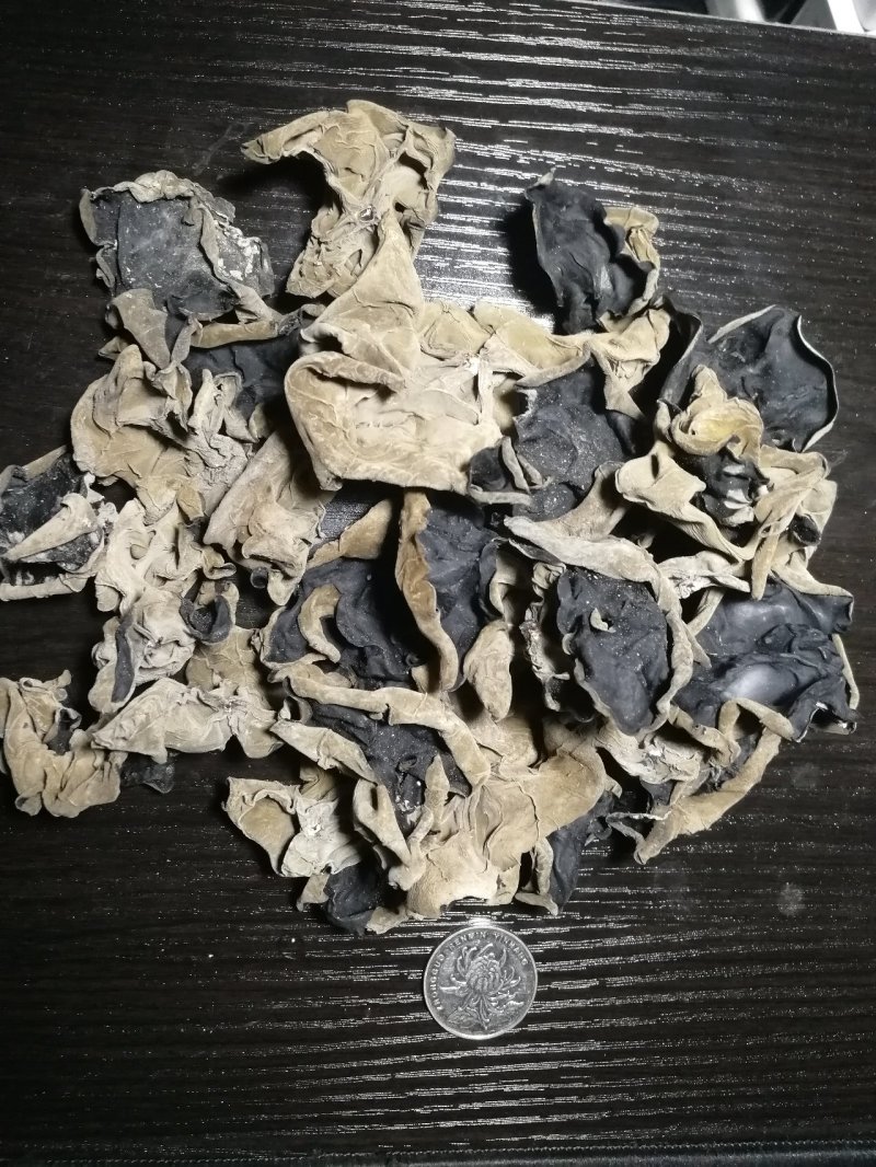 江南冬木耳大木耳冬季木耳2.5cm南方黑木耳