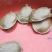 生态甲鱼