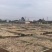 地摊火爆野生小鱼干