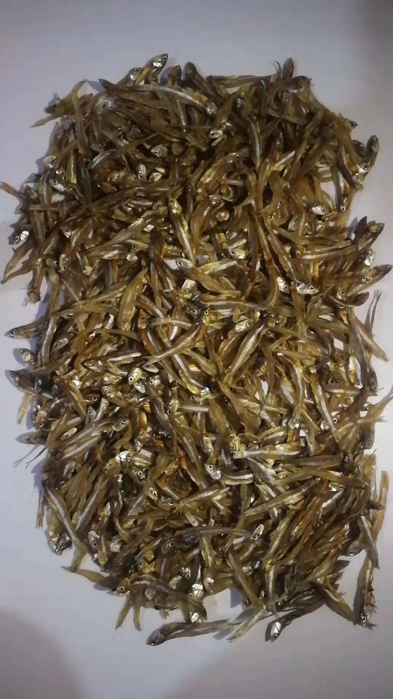 地摊火爆野生小鱼干
