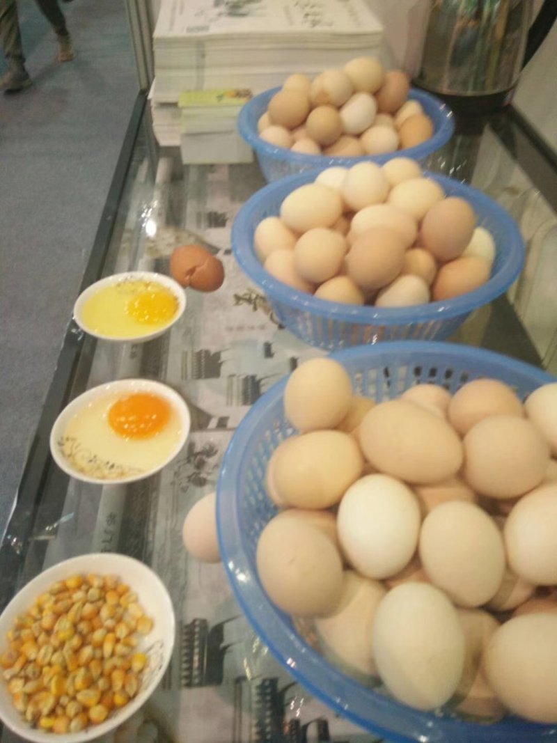 做网红诚信土鸡蛋