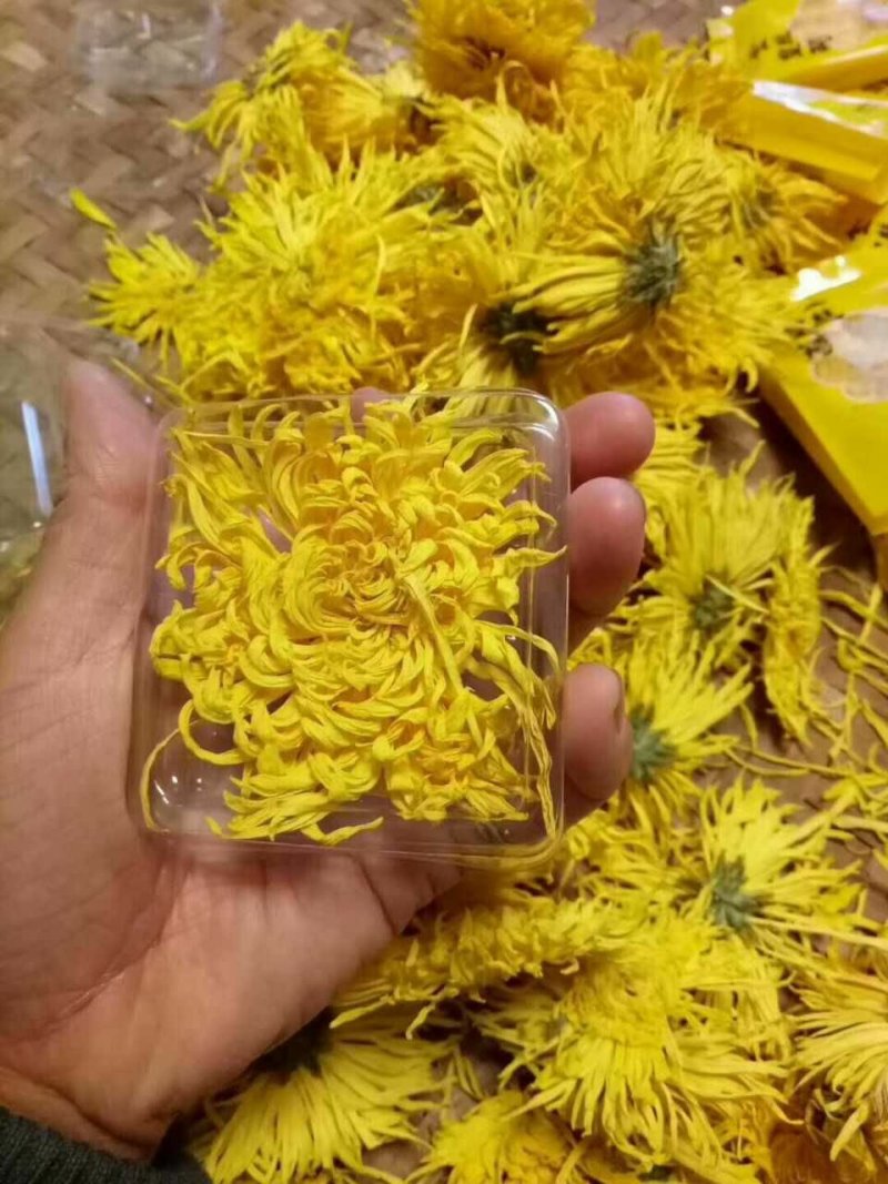 菊花茶金丝皇菊花茶安徽
