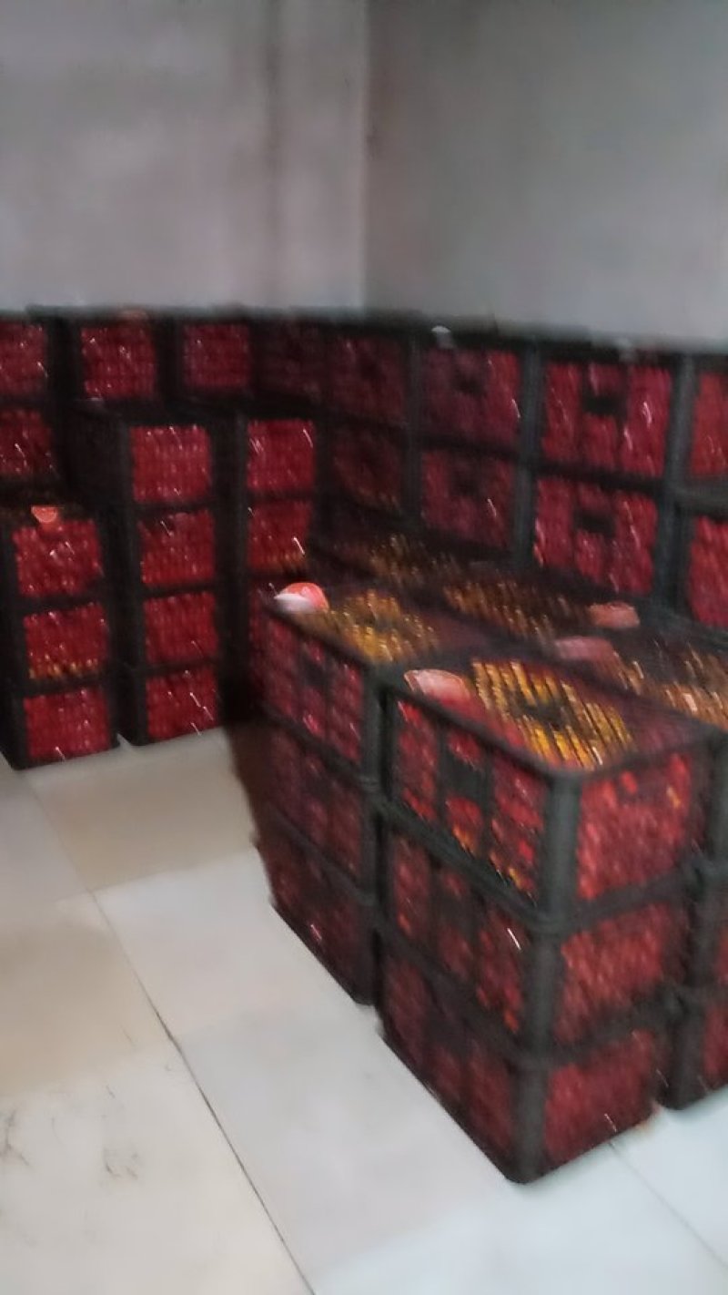 批发广西砂糖桔