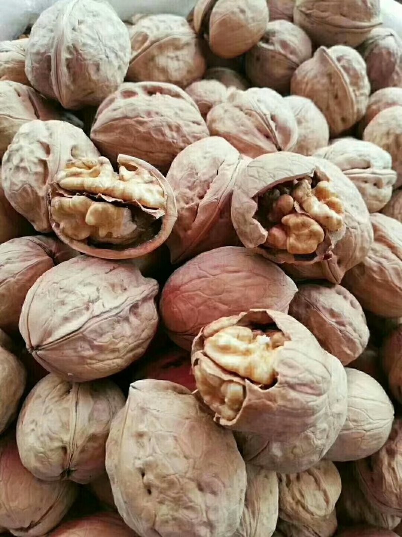 新疆薄皮核桃
