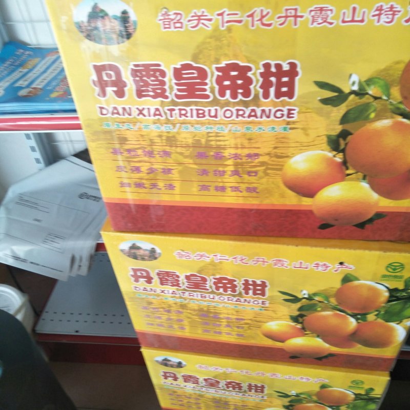 柑橘类