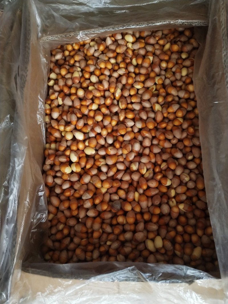 银杏果仁（去壳银杏果），食用白果仁，热销中
