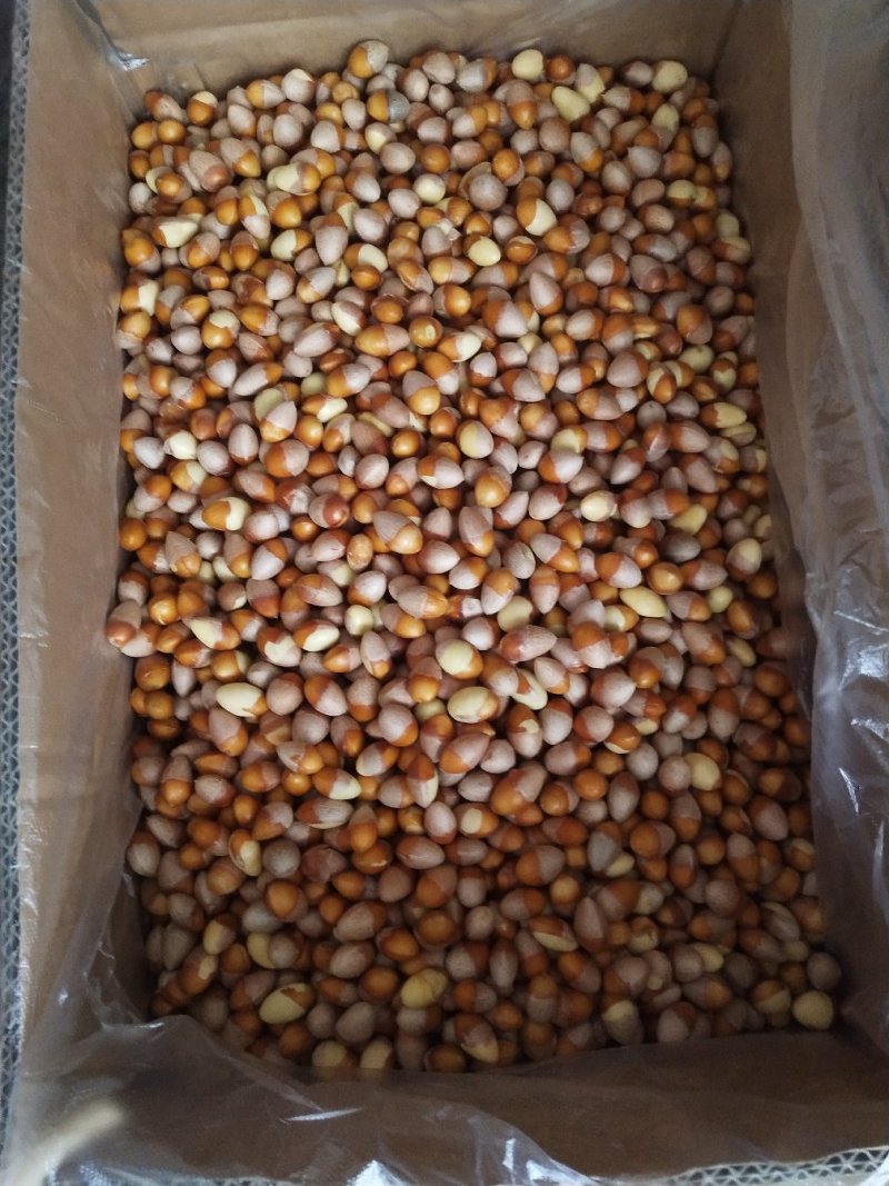 银杏果仁（去壳银杏果），食用白果仁，热销中