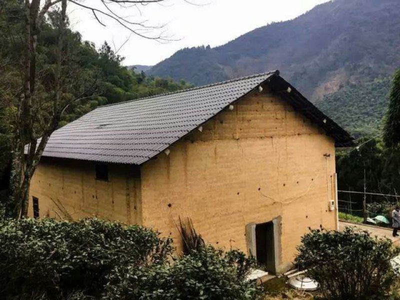 自家养土猪，二杂猪，三元猪共一百头，适合做腊肉。