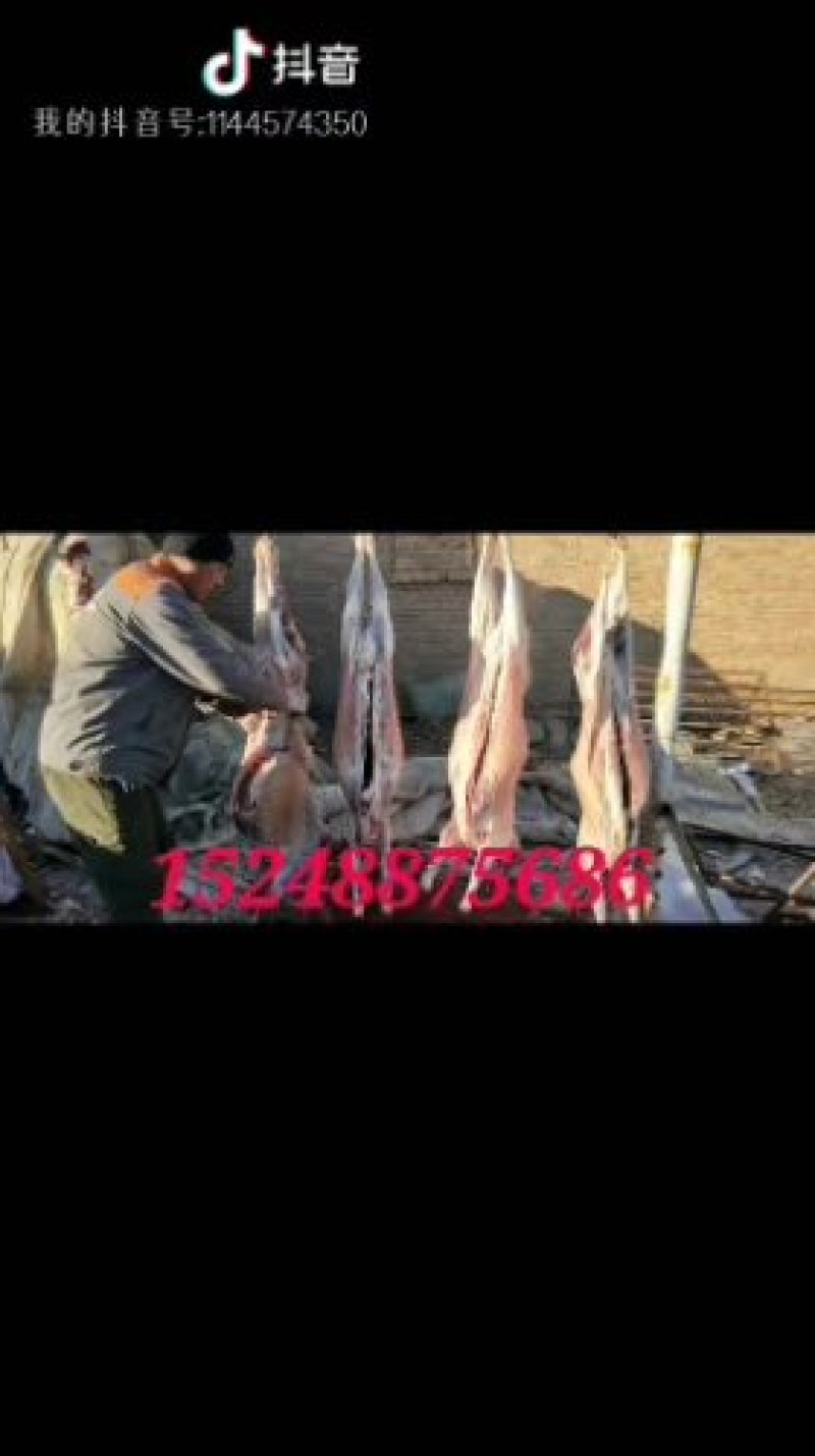 羊肉