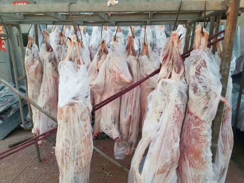 羊肉