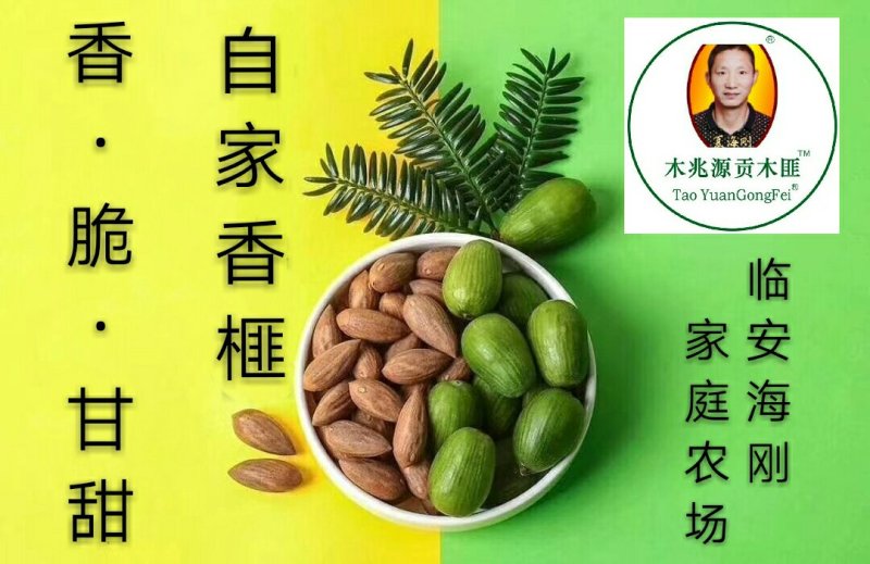 坚果