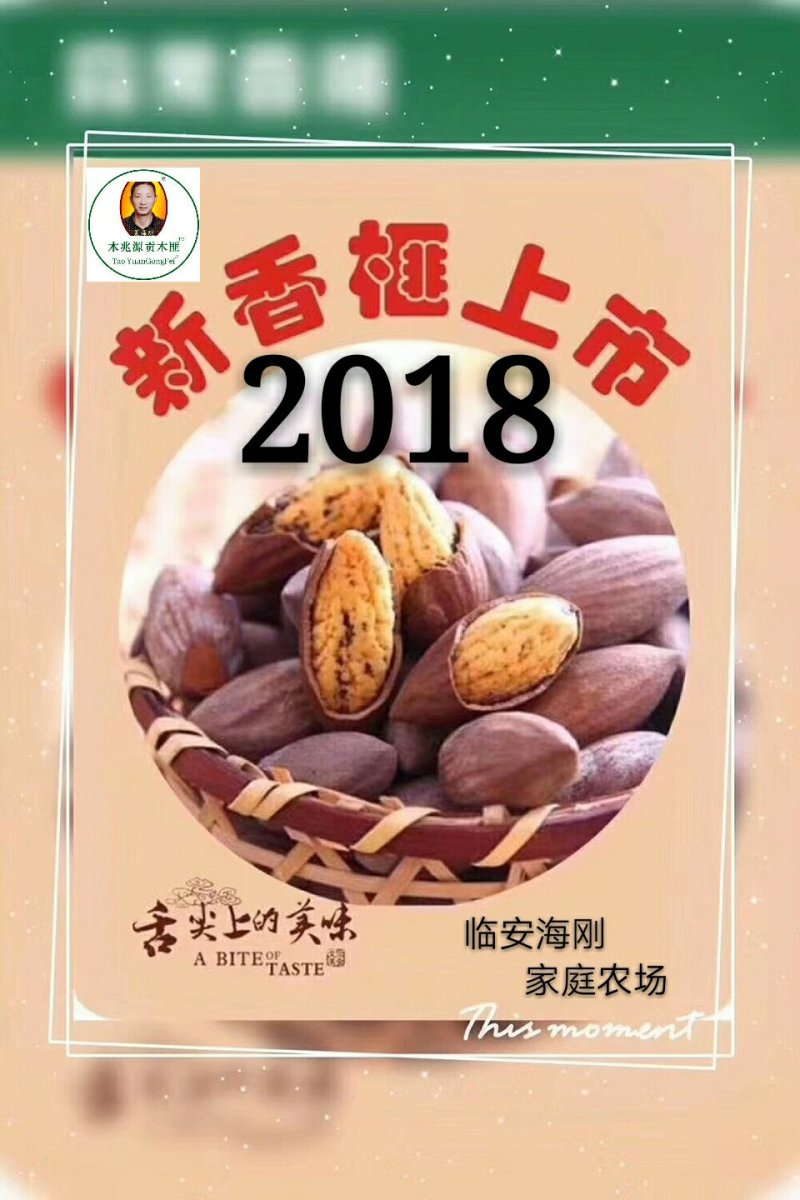 坚果