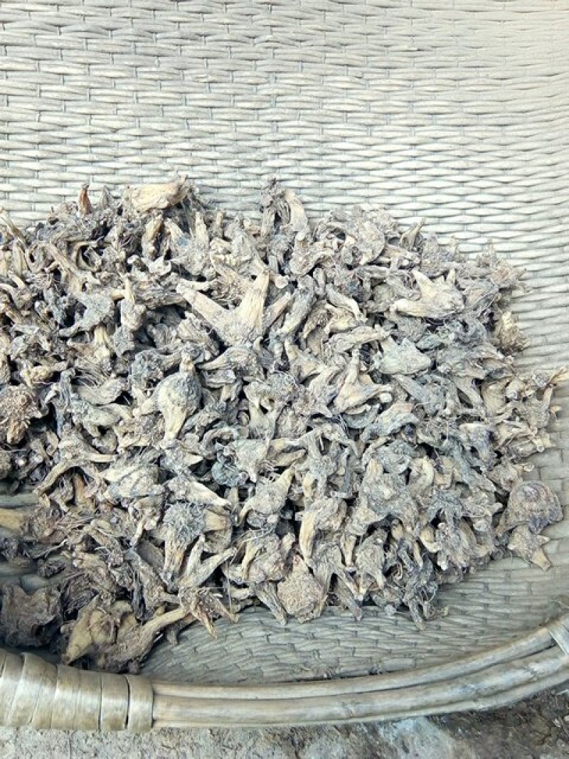 白芨供应