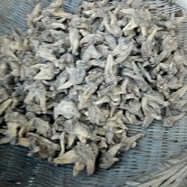 白芨供应