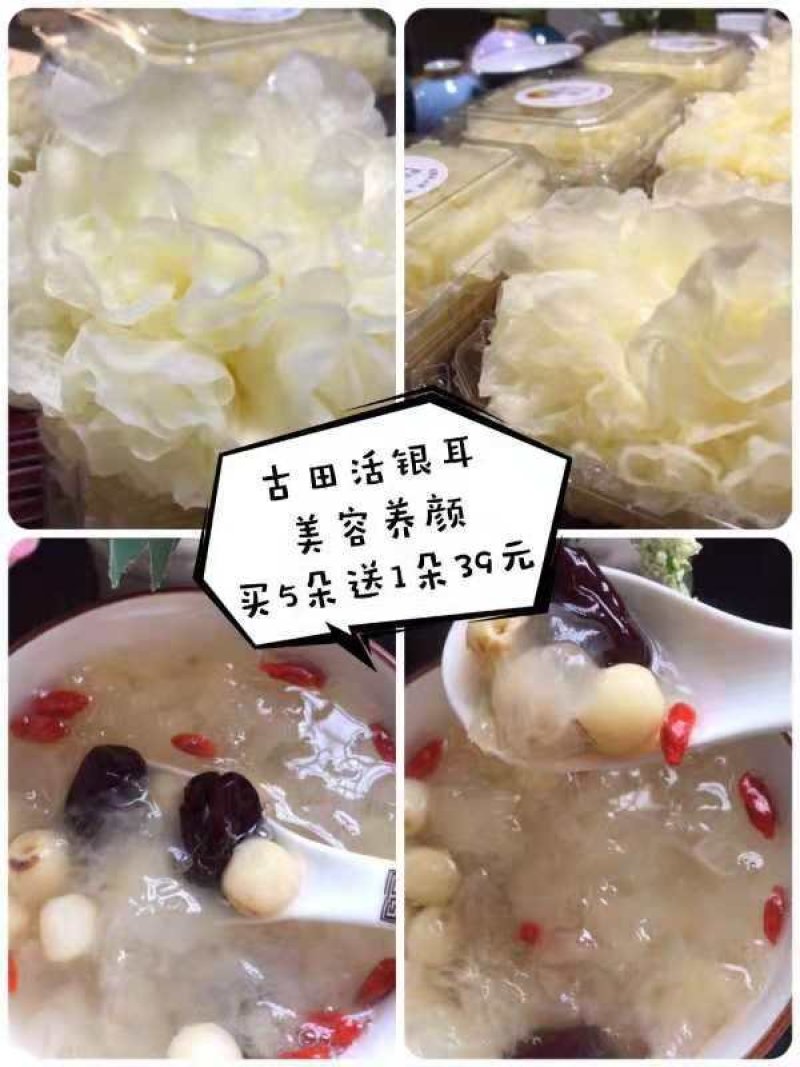 鲜银耳