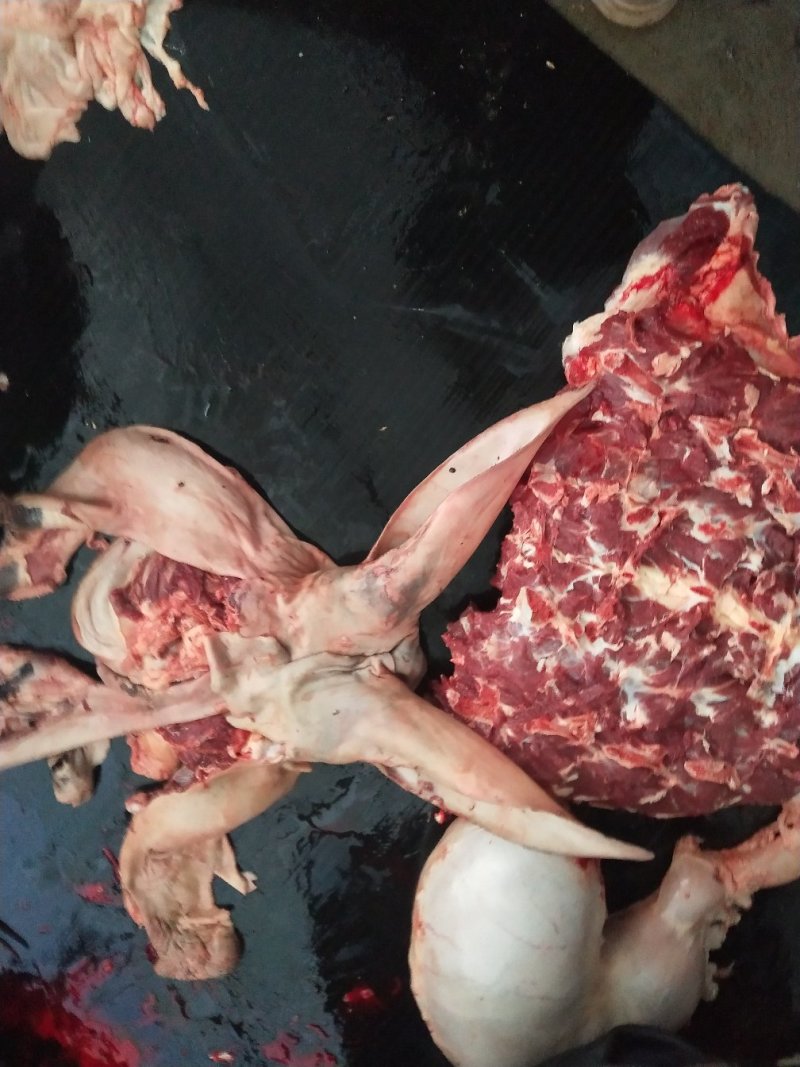 天上龙肉，地下驴肉