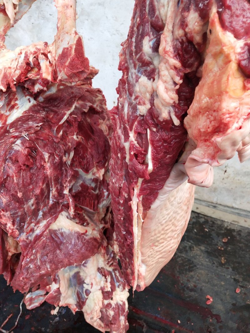 天上龙肉，地下驴肉