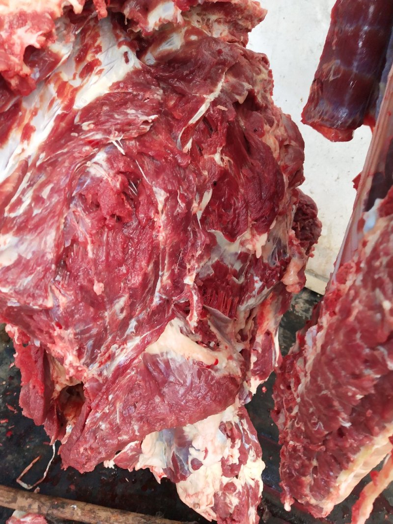 天上龙肉，地下驴肉
