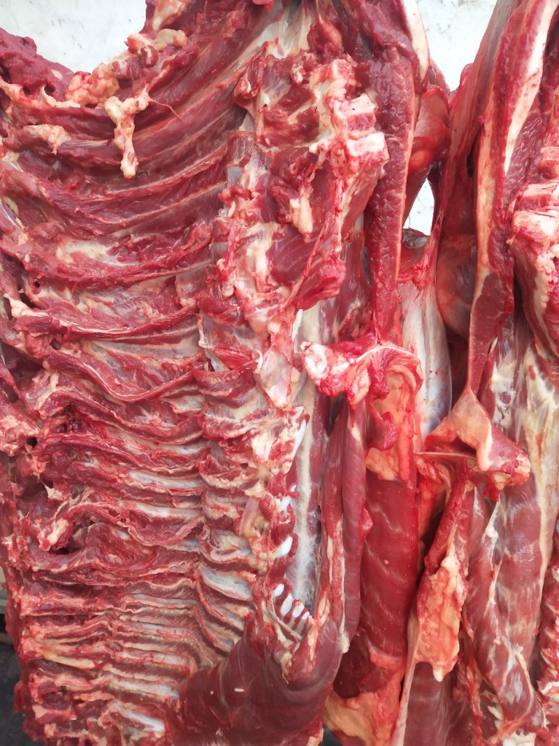天上龙肉，地下驴肉