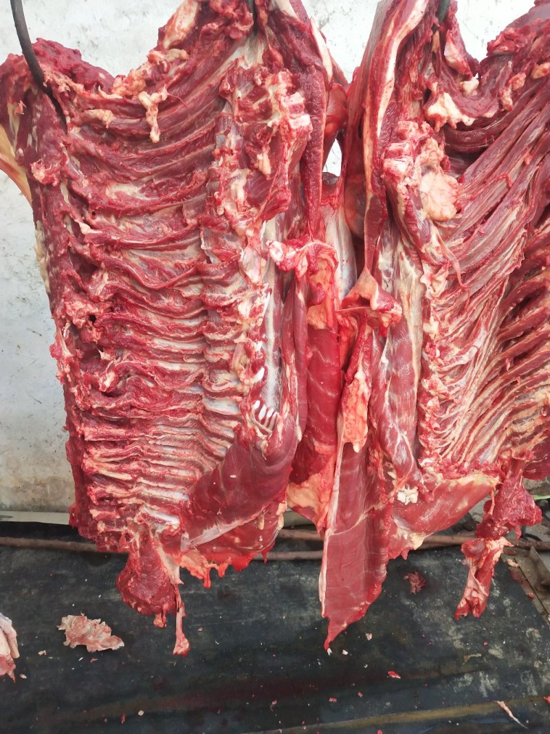天上龙肉，地下驴肉