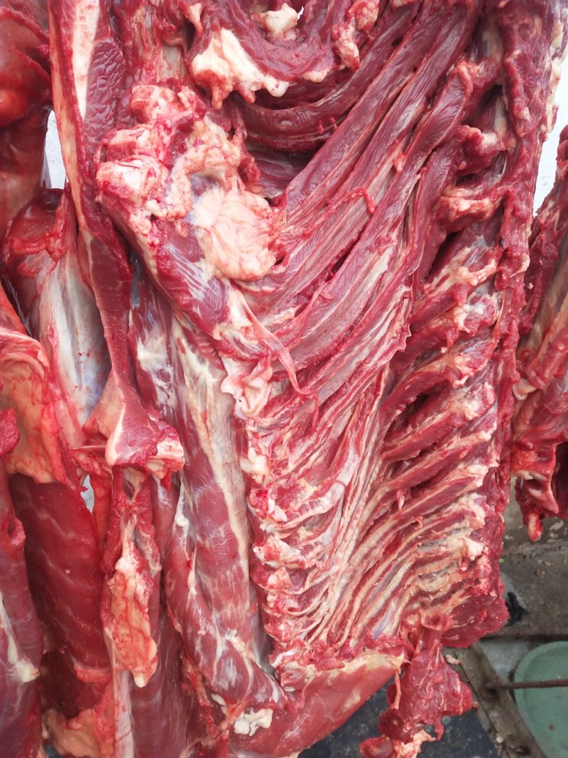 天上龙肉，地下驴肉