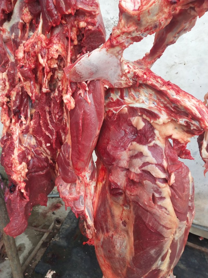 天上龙肉，地下驴肉