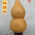 铁皮小亚腰葫芦种子