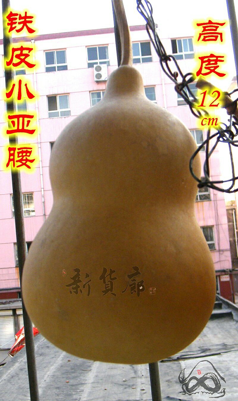 铁皮小亚腰葫芦种子