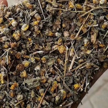高含量野菊花各种规格，统货颗粒大别山野菊花