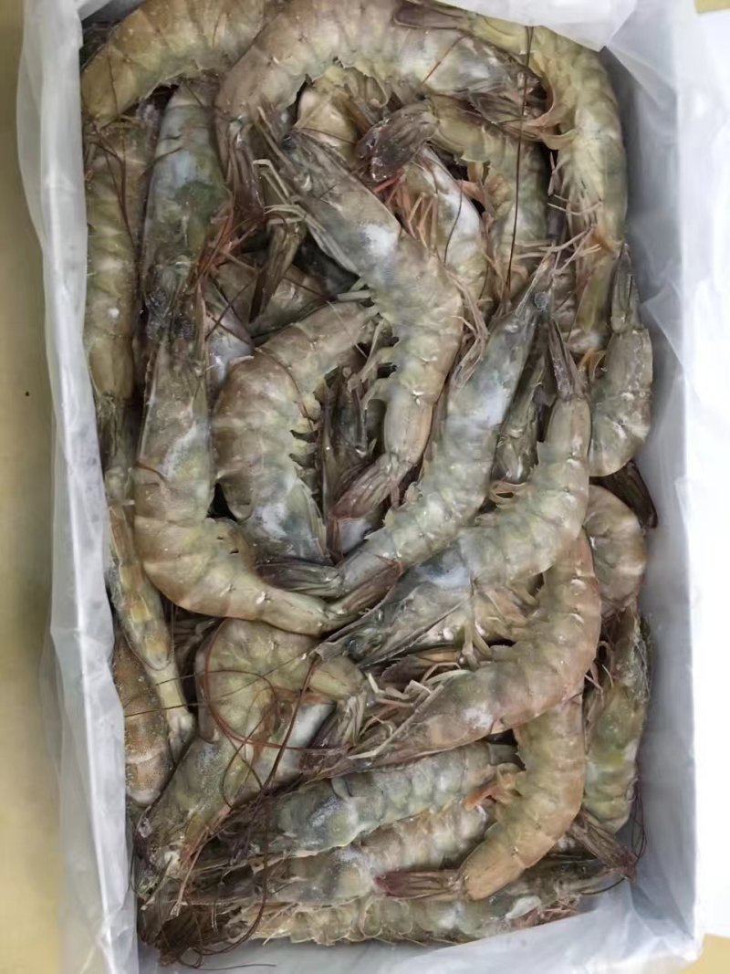 白灼虾