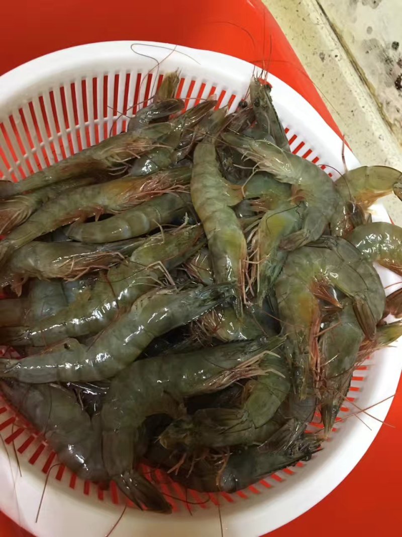 白灼虾