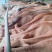 禽畜种苗肉牛肉牛养殖前景分析小肉牛养殖场