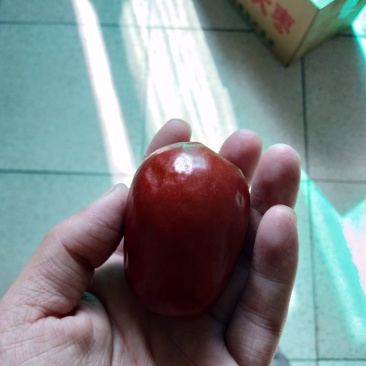 红枣